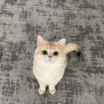 Sarah Sos - Facebook
