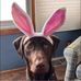 Sarah Riedel-Spahn - Facebook