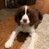 sarah_spike - @sarah_spike - TikTok