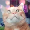Sarah Spindler - @user192522062 - TikTok