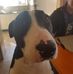 Sarah Spinks - Facebook