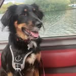 Sarah Staff - @sarah_d_staff - Instagram