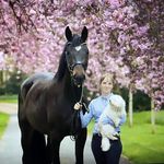 Sarah Stagge Casellato - @sarah_stagge286 - Instagram