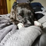 Lyndsie Standard - @lyndsie_sarah_standard - Instagram