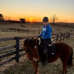 Sarah Staples - @eventing.cognac - Instagram