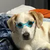sarah staples - @sarah.staples5 - TikTok
