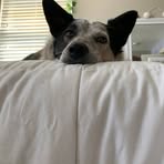 Sarah Starbuck - Facebook