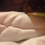 Sarah444 - @sarah_starnes - Instagram
