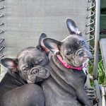 Sarah Stead - @sasxstead81 - Instagram