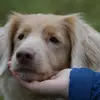 sarahsteinemann_ - @sarahsteinemann_ - TikTok