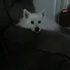 Sarah.stellar - @sarah.stellar - TikTok