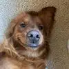 sarahstifterlipet - @sarahstifterlipet - TikTok