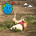 Sarah Greenland Stoots - Facebook