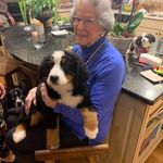 Sarah H Stowers - @sarahhstowers - Instagram