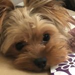 Sarah Stowers - @sarah_stowers_013 - Instagram