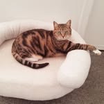 Sarah Strahan - @sass_squash17 - Instagram
