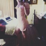 Sarah Strahan - @sarah_strahan - Instagram