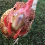 Sarah Zupan Straight - @sstraight23 - Instagram
