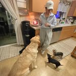 Sarah Strain-Apley - @sarahapley - Instagram