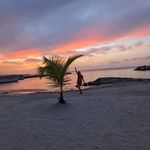 Sarah Strecker-Sertic - @fortheloveofdesign - Instagram