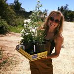 Sarah McKay Strobel - @smackstr - Instagram