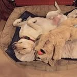 Sarah Stuckey - @stuckey.sarah - Instagram