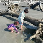 Sarah Stuckey Hembree - @sarahhembree2 - Instagram