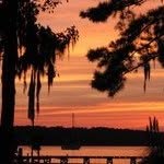 Sarah Stuckey Snead - @stuckeysarah - Instagram