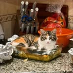 Sarah Raszeja Sudduth - Facebook