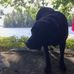 Sarah Sellens - Facebook