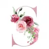 Sarah🌺 - @sarah_summerlin.5 - TikTok