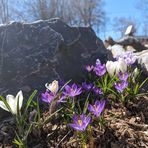 Sarah Surette - Facebook