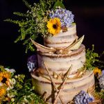 Sarah swinton - @swintonsarah652 - Instagram