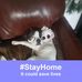 Sarah Simcox - Facebook