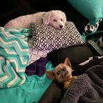 Sarah Tabbutt - @adventure_of_jacque_coco - Instagram