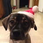 🎅🏼🎄SARAH TAFF🎄🎅🏼 - @sarah_taff73 - Instagram