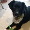 Sarah Tangeman - @sarahtangeman14 - TikTok