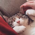 Sarah - @_sarah_tea_ - Instagram