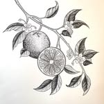 Sarah Tea - Artist - @sarahtea.art - Instagram