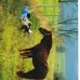 Sarah Jane Tenney - Facebook