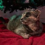 Sarah Tenney - @mega_space_loser - Instagram