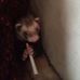 Sarah Teter - Facebook