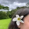 Abrita thachin - @sarahthachin - TikTok