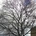 Sarah Thach - Facebook
