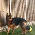 Sarah Thackeray - Facebook