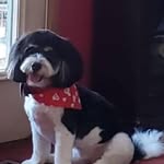 Sarah Tharp - @tharpsarah - Instagram