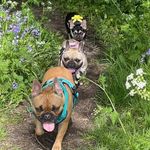 Sarah Thomason - @s_hawes - Instagram