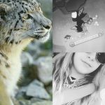 sarah thrift - @shallowfootpotatoe.sarah - Instagram