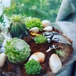 Sarah Timpson - @fluffypinkmonsterog - Instagram
