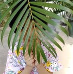 Sarah Tin - Facebook
